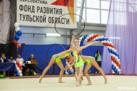 Всероссийские соревнования по художественной гимнастике на призы Посевиной, Фото: 125