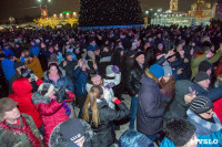 Как туляки Новый год встречали на главной площади города, Фото: 50