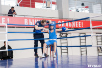 В Тульской области проходит областное первенство по боксу, Фото: 5