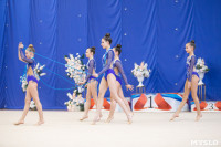 Соревнования по художественной гимнастике на призы благотворительного фонда «Земляки», Фото: 17
