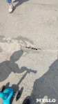 Тулячка: «Пешеходная часть Зареченского моста в ужасном состоянии – страшно ходить», Фото: 5