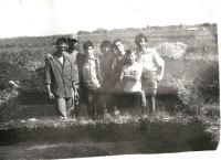 Какой была тульская земля несколько тысячелетий назад?, Фото: 7