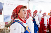 День Тульского поля-2026: чем удивляли тульские аграрии. Большой репортаж, Фото: 163