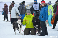 Праздник северных собак на Куликовом поле , Фото: 74