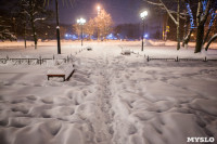 Сказочная зима в Туле, Фото: 26