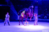 На каникулах – в Цирк больших зверей, Фото: 136