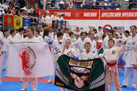 Более 2500 спортсменов оспаривают медали на Всероссийских соревнованиях по карате в Туле, Фото: 13