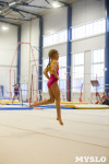 Спортивная гимнастика в Туле 3.12, Фото: 97