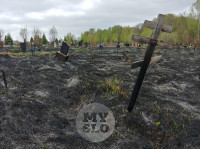 Сгоревшее кладбище в Алексине, Фото: 24