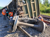 В Тульской области грузовой поезд сошел с рельсов, Фото: 14