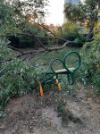 В Туле дерево упало на детскую площадку во дворе многоквартирного дома, Фото: 5
