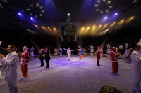 Успейте посмотреть шоу «Новогодние приключения домовенка Кузи» в Тульском цирке, Фото: 155
