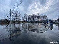 В Туле затопило Баташевский сад, Фото: 8