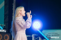 Десятый Всероссийский фестиваль «День пряника» в Тульском кремле 02.08.2025, Фото: 71