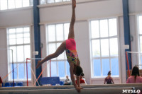 Соревнования по художественной гимнастике, Фото: 65