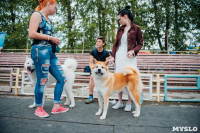 Всероссийская выставка собак в Туле, Фото: 114
