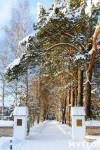 Снежное Поленово, Фото: 10