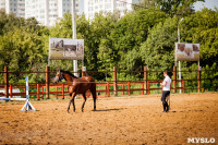 Новые лошади для конной полиции в Центральном парке, Фото: 10