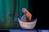 Театр кошек в ГКЗ, Фото: 46