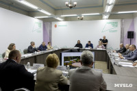 Проекты благоустройства парков Щекино, Киреевска, Ясногорска и Новомосковска, Фото 85