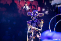 Шоу фонтанов «13 месяцев»: успей увидеть уникальную программу в Тульском цирке, Фото: 245