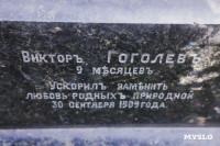 Всехсвятское кладбище, Фото: 144