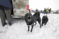Гонки на собачьих упряжках «Большой тур» на Куликовом поле, Фото: 100