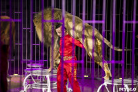 Шоу фонтанов «13 месяцев» в Тульском цирке – подарите себе и близким путевку в сказку!, Фото: 76