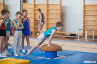 Мужская спортивная гимнастика в Туле, Фото: 12