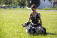 В Туле прошла выставка собак всех пород: фоторепортаж, Фото: 80