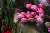 Леруа Мерлен Цветы к празднику, Фото: 62