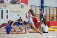 Тульские гимнастки готовятся к первенству России, Фото: 17