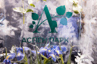 В Туле презентовали ЖК «Аспен парк»: каким он будет, Фото: 8