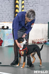 Выставка собак в Туле 26.01, Фото: 35