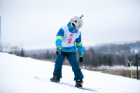 I-й этап Кубка Тулы по горным лыжам и сноуборду., Фото: 64