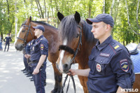 Конный патруль в Туле, Фото: 7