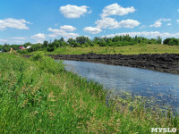 В этом году в Тульской области начали расчистку русел еще трех рек, Фото: 10