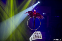 Шоу фонтанов «13 месяцев» в Тульском цирке – подарите себе и близким путевку в сказку!, Фото: 43