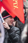 В Туле проходит митинг в поддержку Крыма, Фото: 39