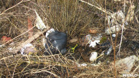 Поселок Славный в Тульской области зарастает мусором, Фото: 14