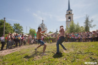 В Тульской области прошел фестиваль крапивы, Фото: 218