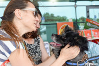 В тульском «Макси» прошел благотворительный фестиваль помощи животным, Фото: 33