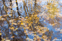 Золотая осень в Ясной Поляне, Фото: 22
