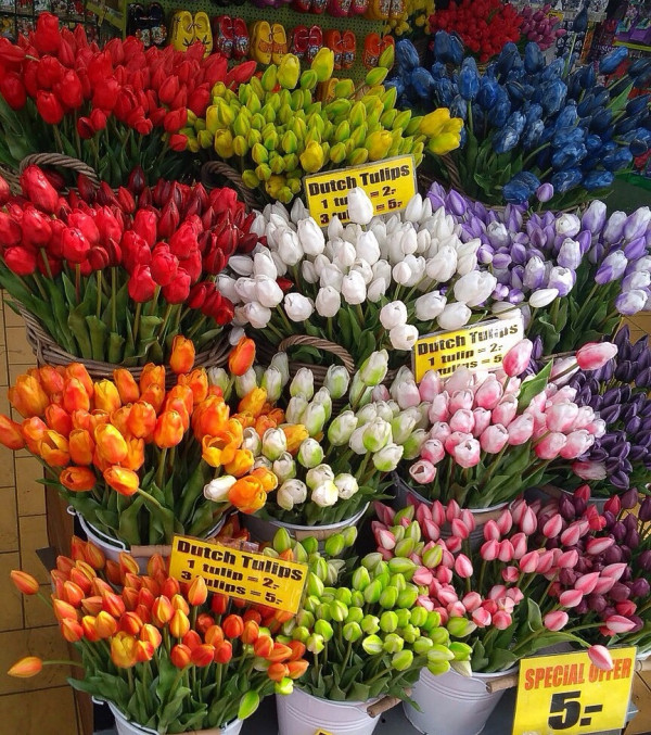 Амстердам. Цветочный рынок.