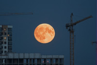 Осетровая Луна 2025, Фото: 13