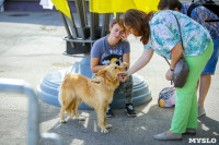 В Центральном парке Тулы проходит фестиваль помощи животным, Фото: 27
