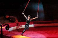 В Туле пройдет Международный детский и молодежный цирковой фестиваль «На языке мира», Фото: 29