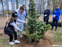 ЕВРАЗ посадил в Пролетарском парке 100 деревьев, Фото: 45