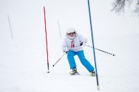 Третий этап первенства Тульской области по горнолыжному спорту., Фото: 35