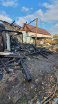 Туляков из горящего дома спасли собаки, Фото: 5